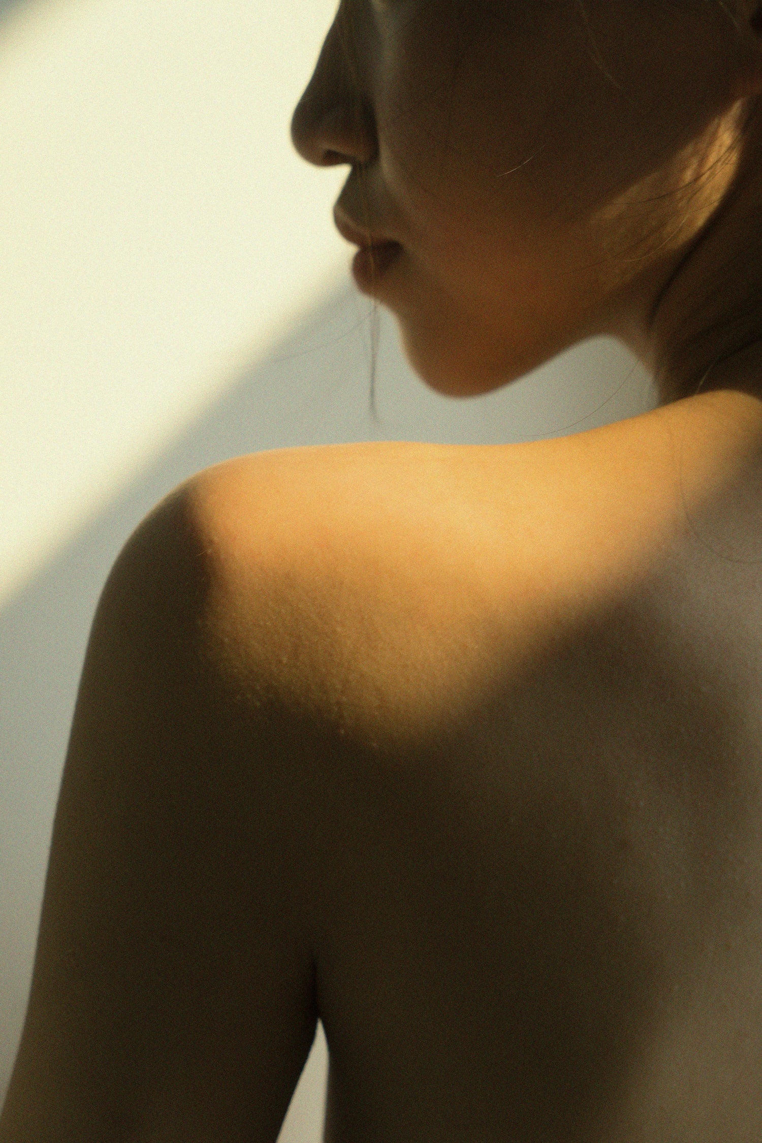 Body